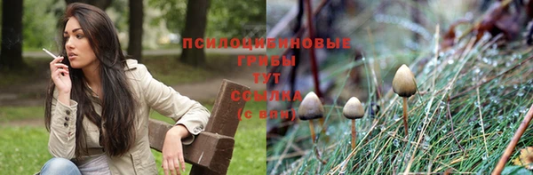 дживик Алексеевка
