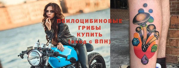 дживик Алексеевка