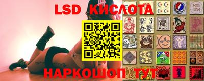 крисы Ливны