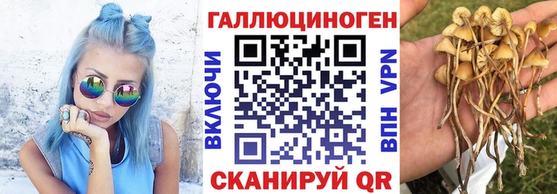 Галлюциногенные грибы мухоморы  где можно купить наркотик  Кольчугино 