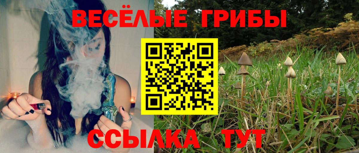 Кольчугино  Галлюциногенные грибы мухоморы  Вход с VPN  Галлюциногенные грибы MAGIC MUSHROOMS 