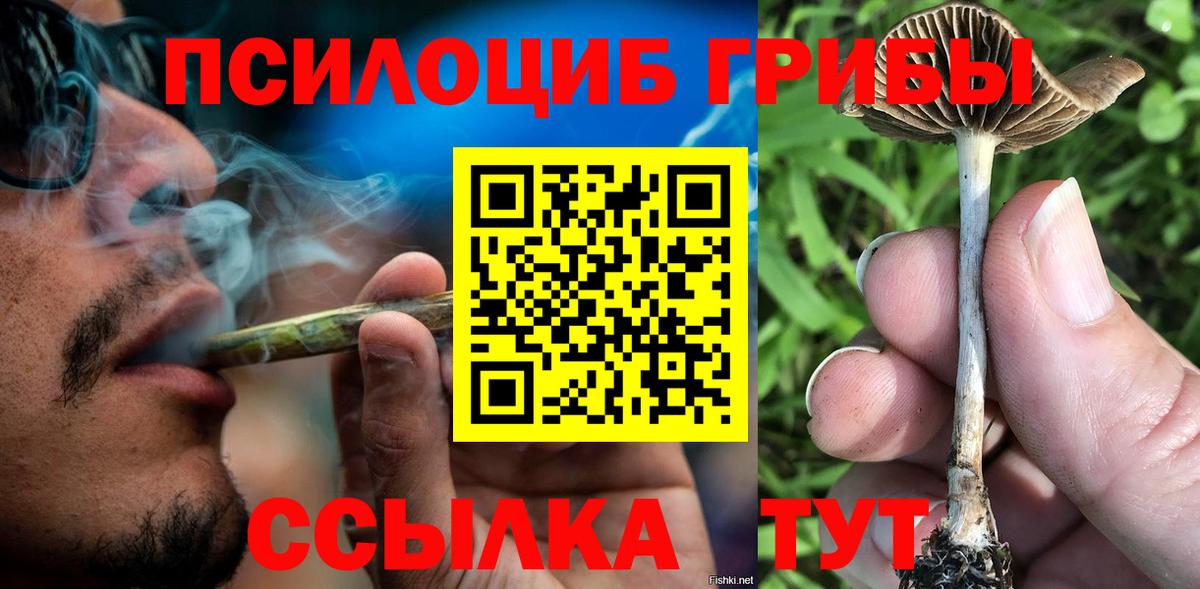 Галлюциногенные грибы Cubensis Кольчугино